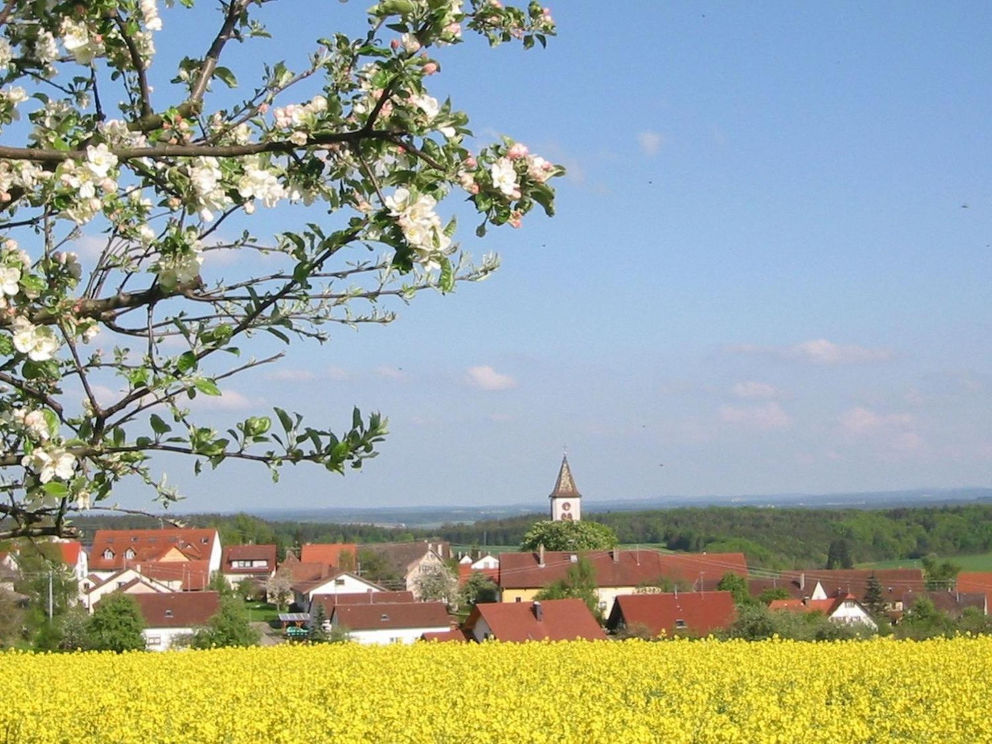 Kleine Auszeit Villa Thalheim  Luaran gambar